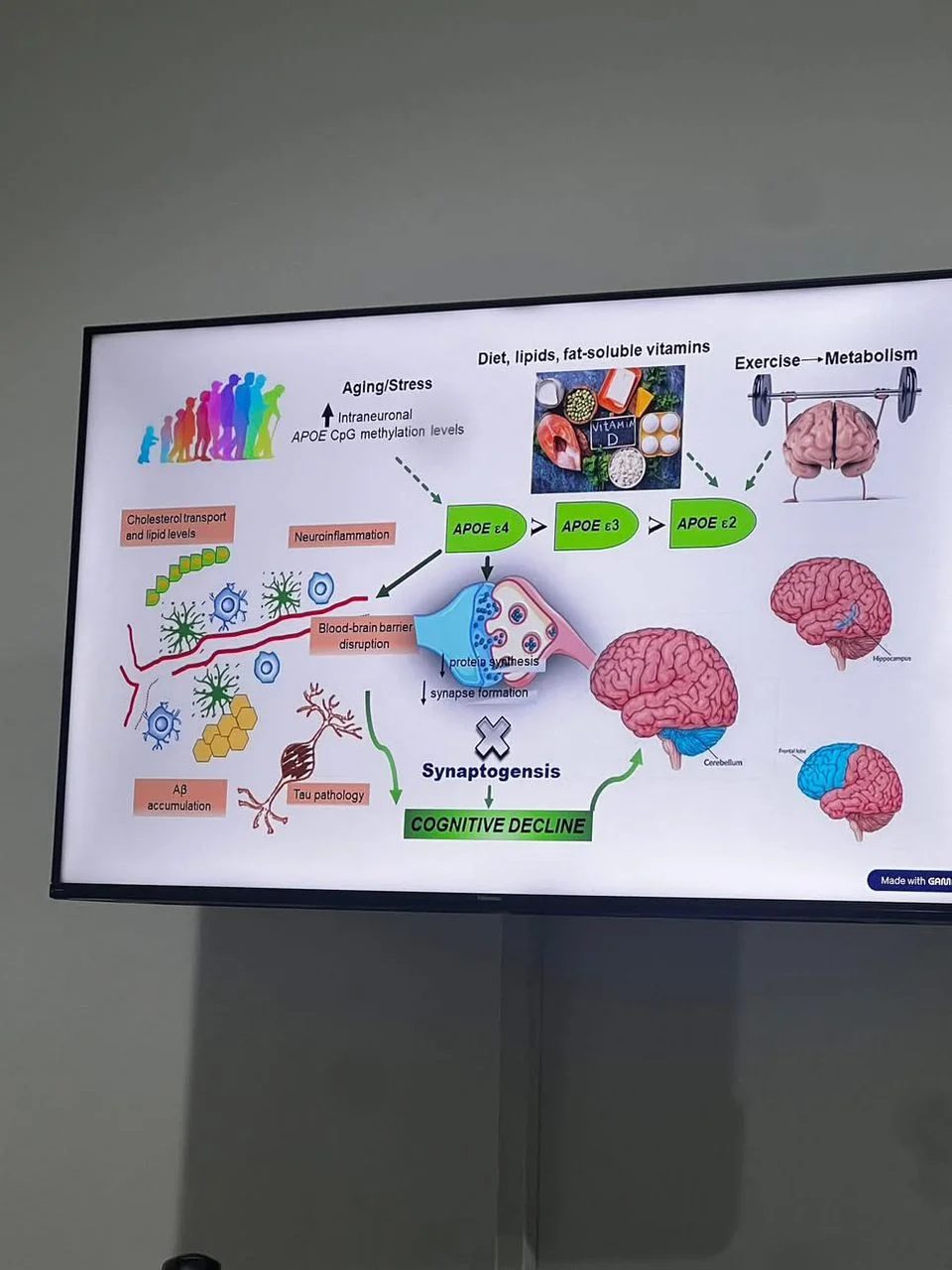 Epigenetics and Cancer Innovative Academic Activities in the Master of Cytogenetics